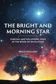 Item #37780 The Bright and Morning Star: Finding and Following Jesus in the Book of Revelation....